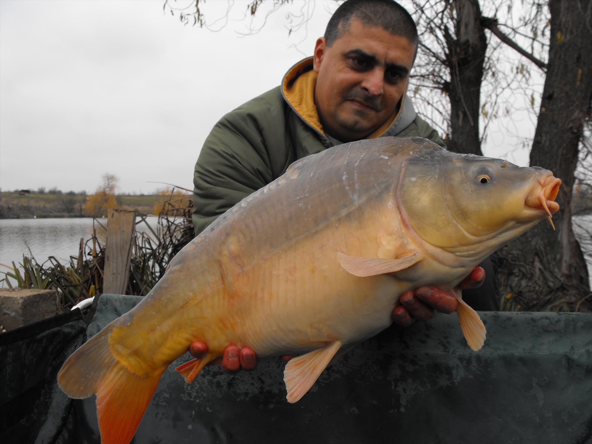 Hermes Peris 15 noiembrie 2014 - dscf1023.JPG